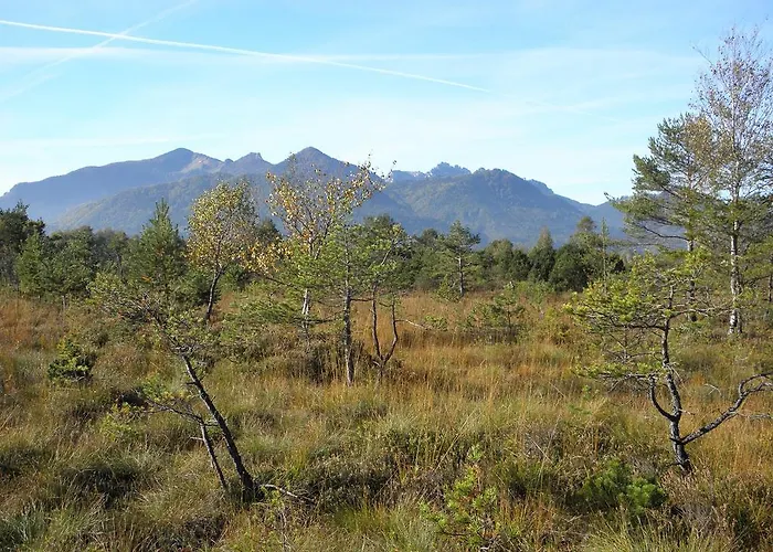 Fritzenwenger Übersee
