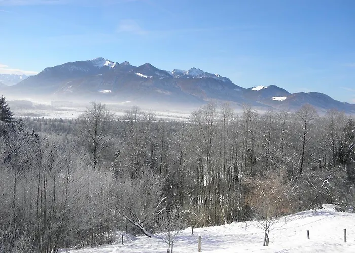 Fritzenwenger * Übersee